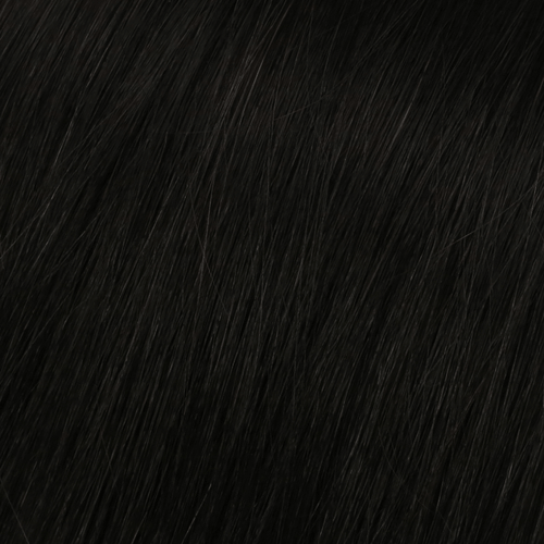 Natural Black #1B