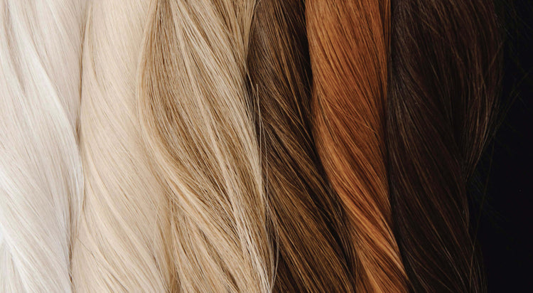 Close-up of hair color swatches ranging from light beige to dark brown.